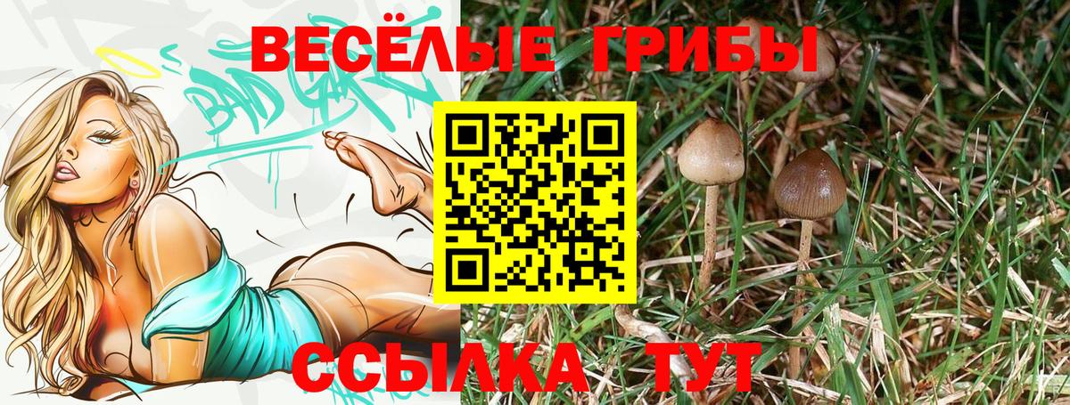 Галлюциногенные грибы мухоморы Скопин