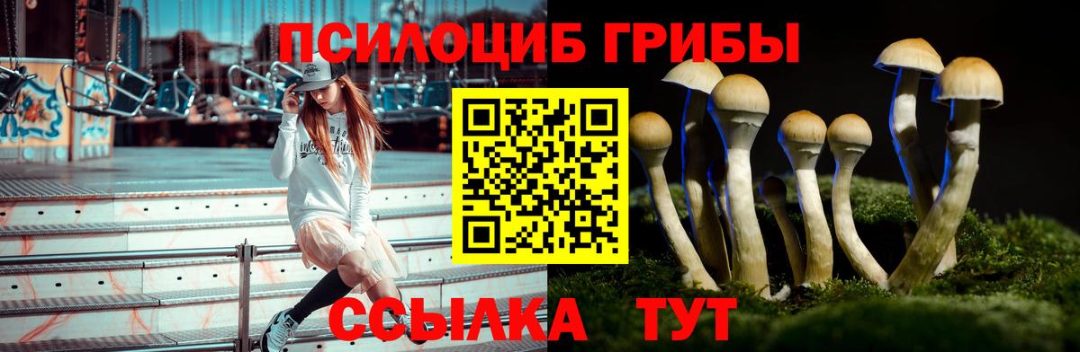 Скопин  Псилоцибиновые грибы Psilocybine cubensis  Галлюциногенные грибы Psilocybine cubensis  Вход с VPN 